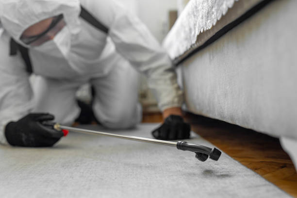 Professional Termite Control technician working in Brady, TX
