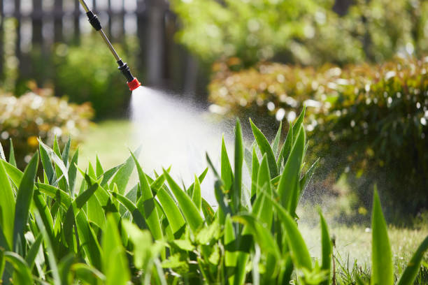 24/7 Emergency Termite Control experts in Brady, TX