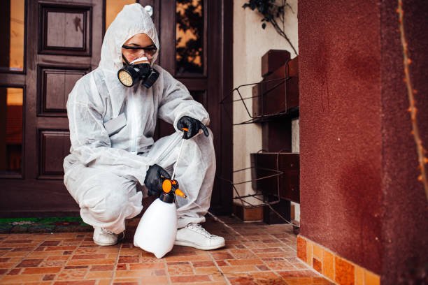 Reliable Termite Control contractor in Brady, TX by Nex Pest Control